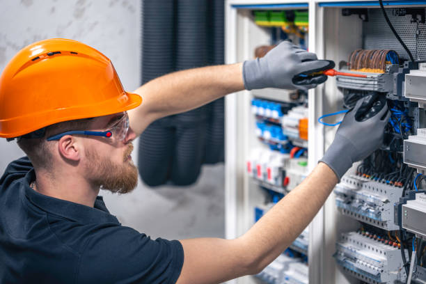 Best Electric Panel Repair  in Isle Of Hope, GA